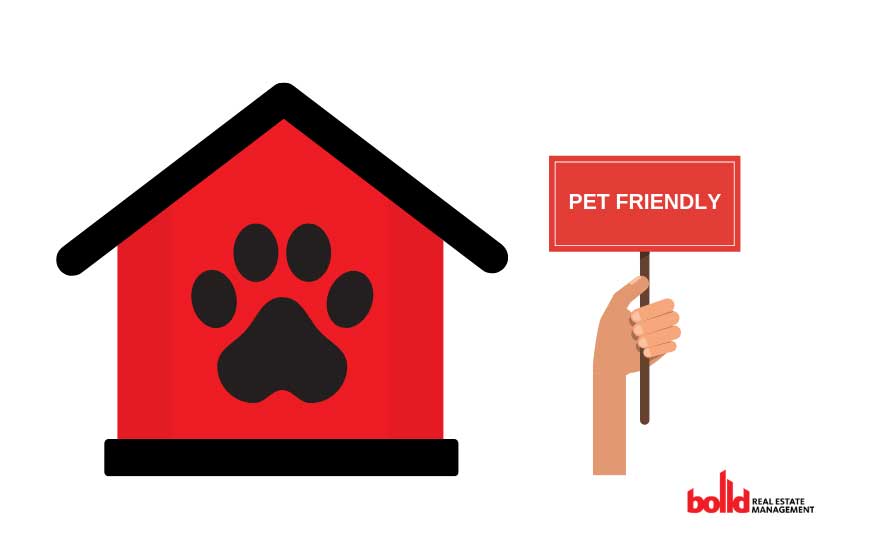 HOW-PET-FRIENDLY-POLICY-IMPACTS-YOUR-RENTAL-INVESTMENT