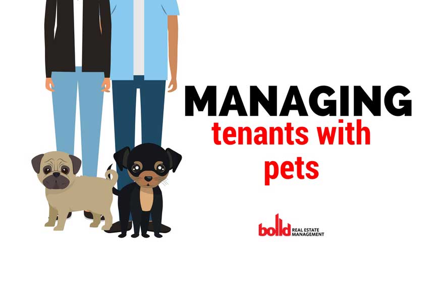 managing_tenants_with_pets-1